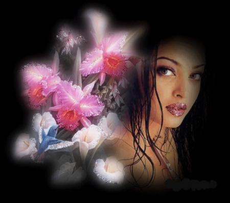 bienvenue sur mon blog